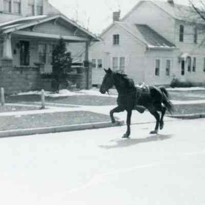 34577 Sims and 3515 3rd St.