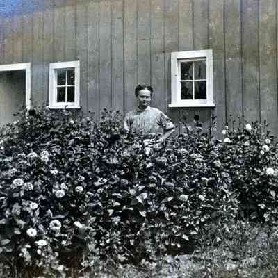 Mrs. E. H Langworthy in 1912.