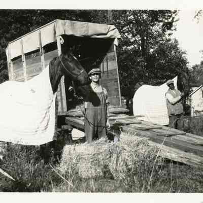 Unloading Horses