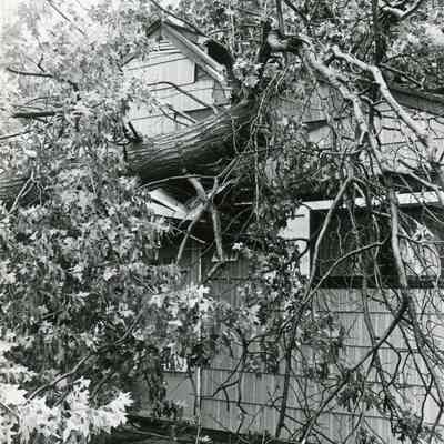 July 1980 Storm Aftermath at 4971 Hunt Street