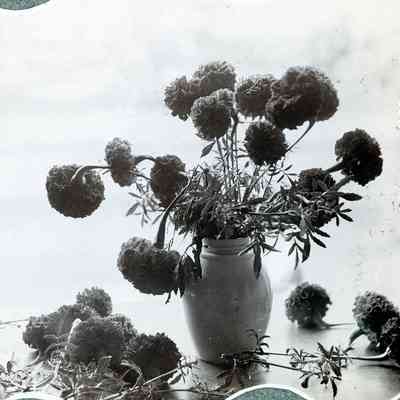 A flower arrangement.