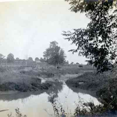 Lower Rouge River on Blount Farm in Wayne, Michigan.