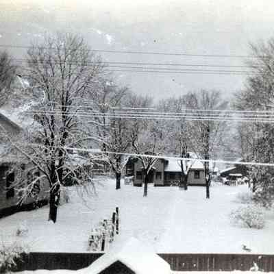 Back yard