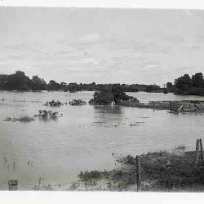 1905 flood in the flats