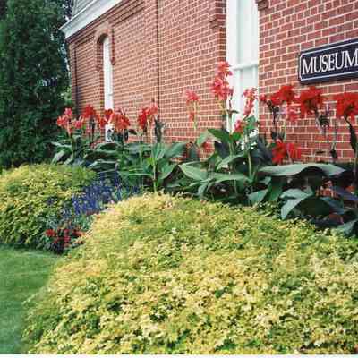 1997 Museum Grounds