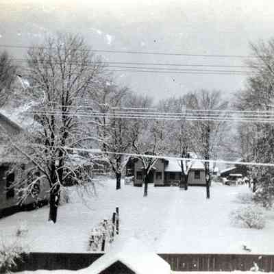 Norris Street neighborhood, from Martin House