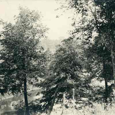 Field Back of John C. Stellwagon's Before Lake