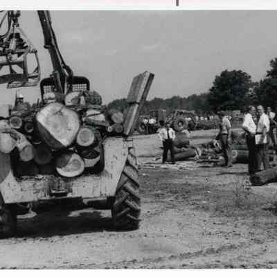 D.P.W workers moving large tree trunks.