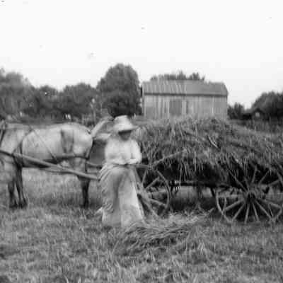 Horse and Wagon