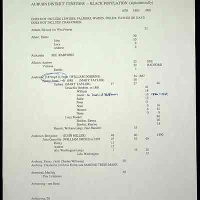 Folder 11: Auburn District Censuses