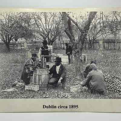 Dublin, c. 1895