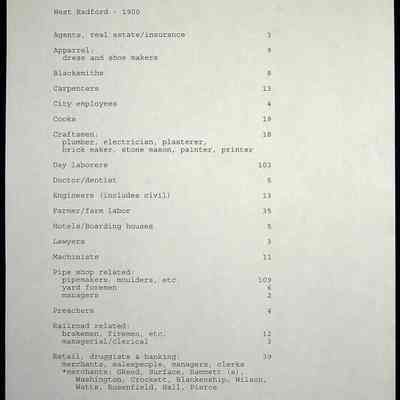 Folder 14: Radford 1880 Census/Occupations