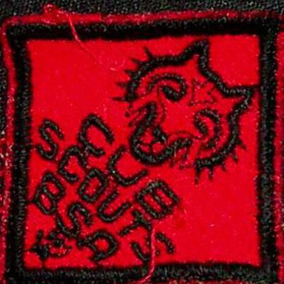 Wolf Rank Cub Scouts Patch