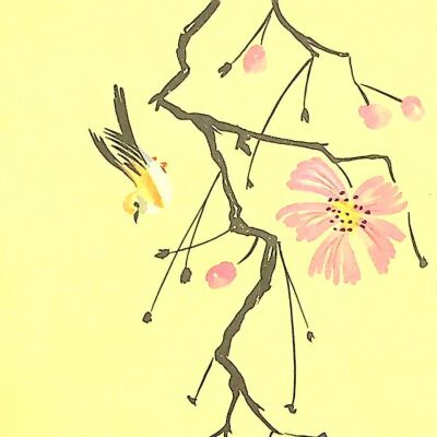 John F. Banks Correspondence: Elsie Beeken March, 1956