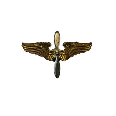 USAAF Cadet Hat Badge