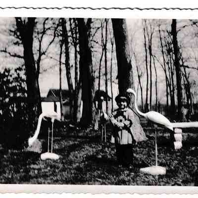 Photograph