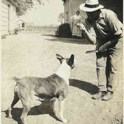 Photograph
