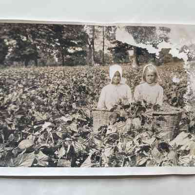 Photograph