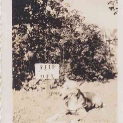 Lott Family Photograph