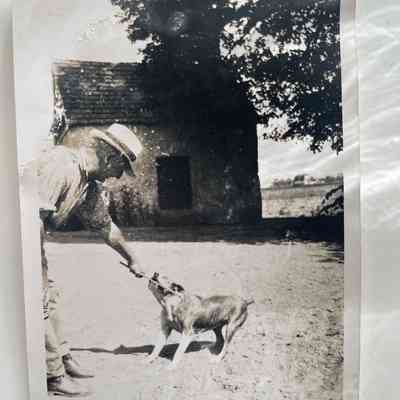 Photograph