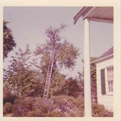 Lott Family Photograph
