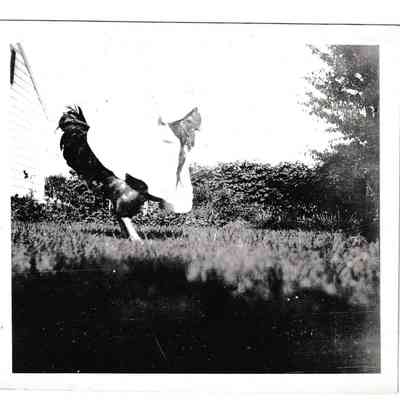 Photograph