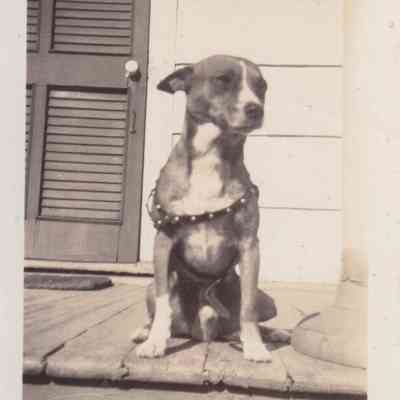 Lott Family Photograph