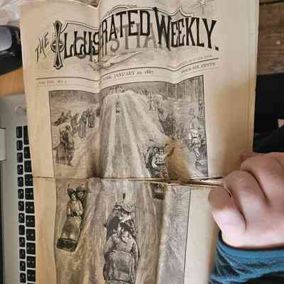 Newspaper
