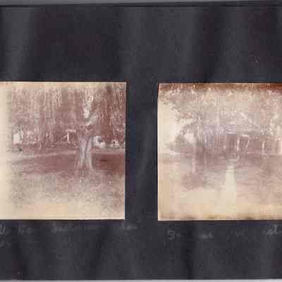 "Photographs"