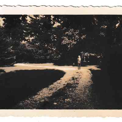 Photograph