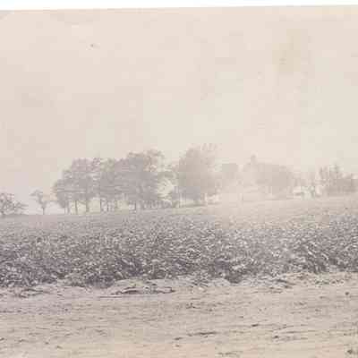 Lott Family Photograph