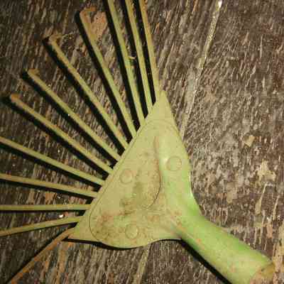 Rake