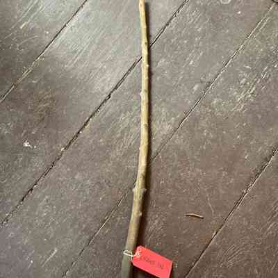 Cane