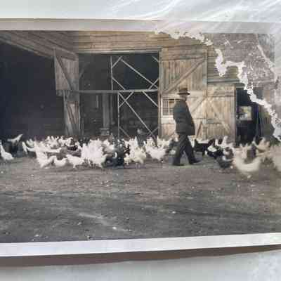 Photograph