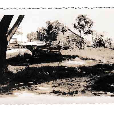Photograph