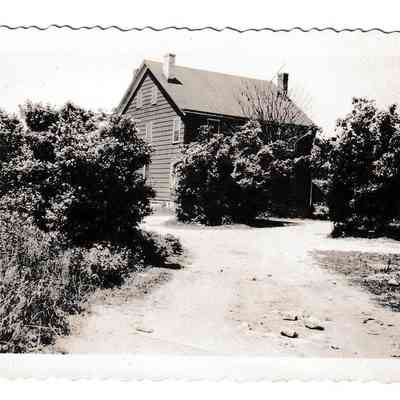 Photograph