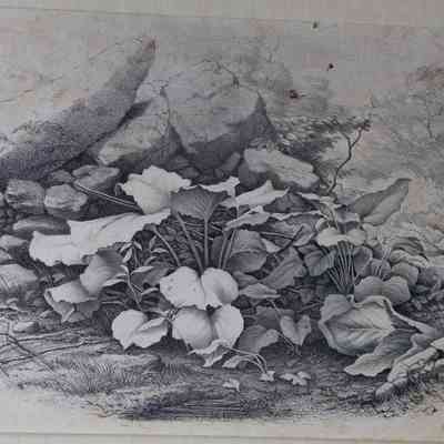 Kluth Artwork