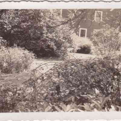 Lott Family Photograph