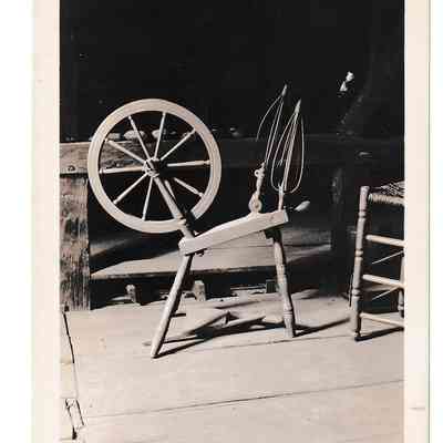 Photograph
