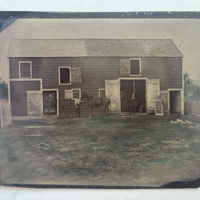 Photograph