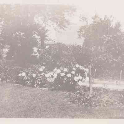 Lott Family Photograph