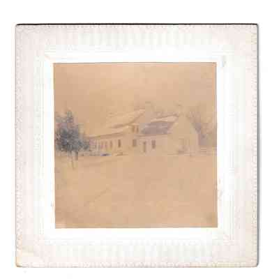 Photograph