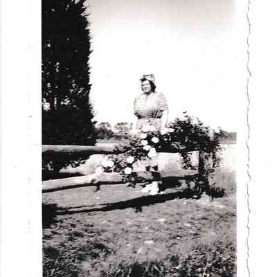 Photograph of Woman