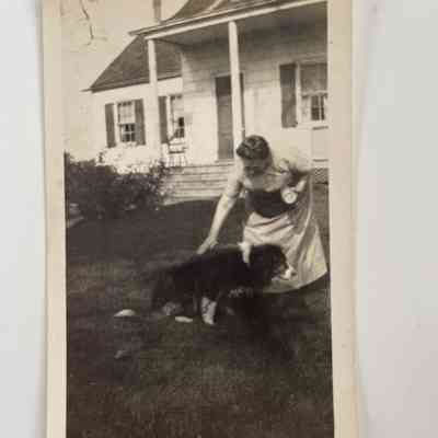 Photograph