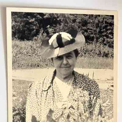 Photograph