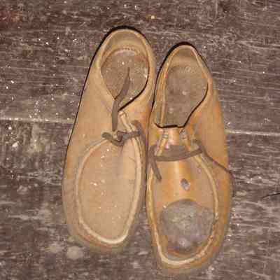 Shoe