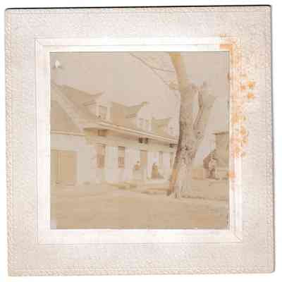 Photograph
