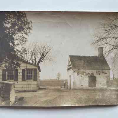 Photograph