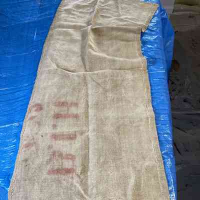 Cloth Fragment