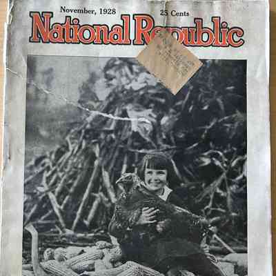 Newspaper